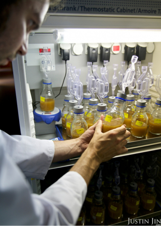 In the ultimate &ldquo;it&rsquo;s just not cricket&rdquo; news, Belgian researchers have used a machine learning method to make better tasting alcoholic and non-alcoholic beers.