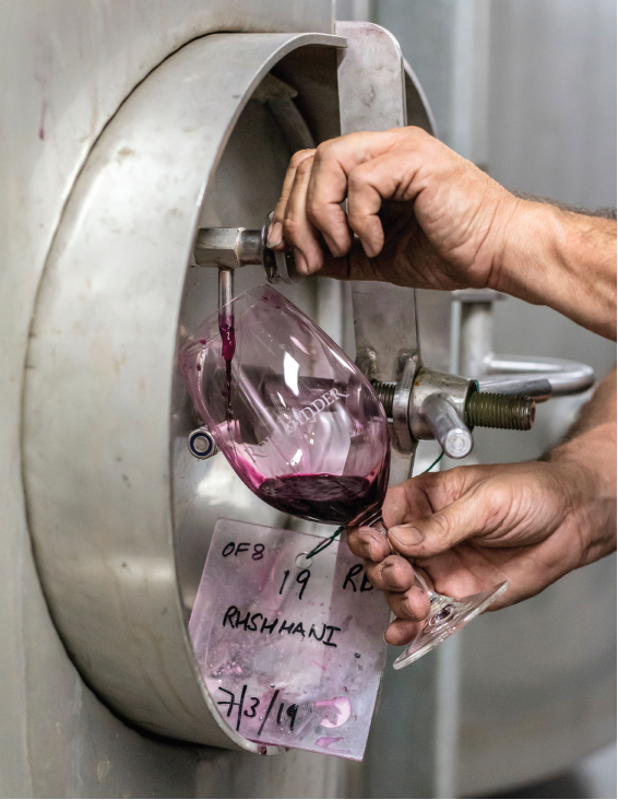 Accolade wines has acquired Rolf Binder Wines as it shores up its Barossa and South Australian wine region portfolio. It follows the purchase of Katnook Estate in May 2020.