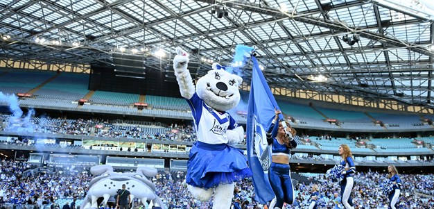 A Bulldogs win creates a sea of blue