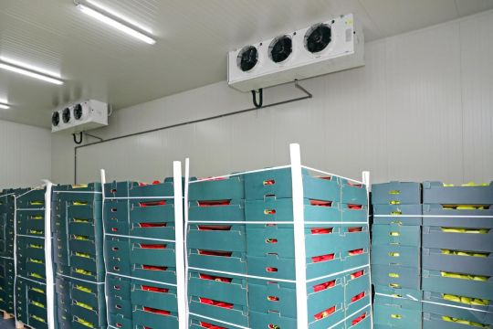 The future of refrigeration is built by the students of today.