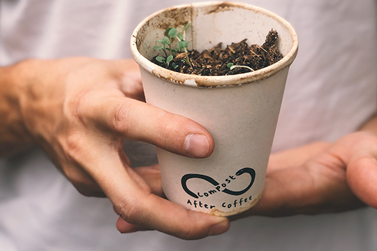 Pic credit: Compostable Alternatives