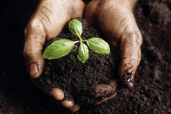 The Australasian Bioplastics Association launches digital transformation for certified compostable products.