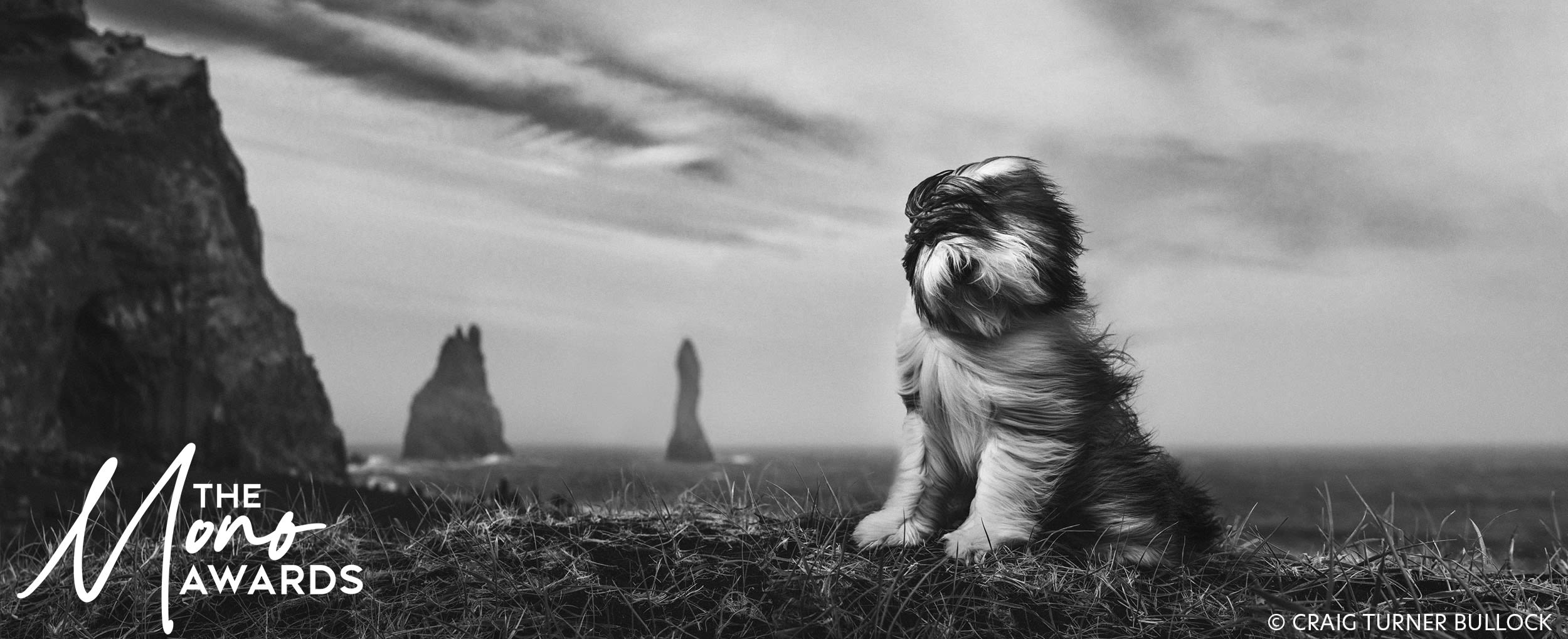 Black and white photograph by Craig Turner Bullock