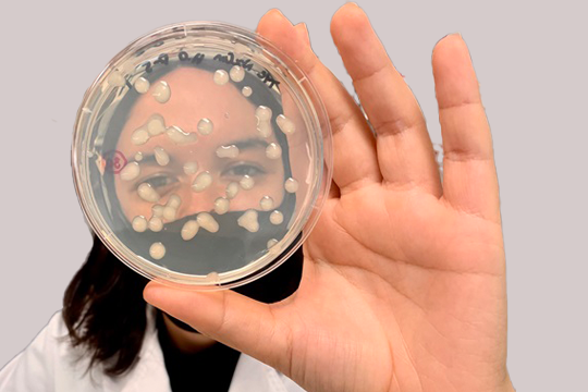 CSIRO and Murdoch University are developing 100 per cent compostable bioplastics which can break down in compost, land or water, without leaving a trace. Credit: Murdoch University.