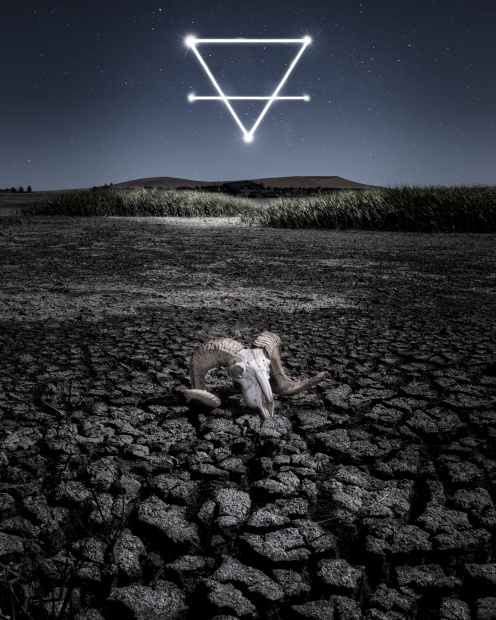 &copy; Dani Watson. Featured portfolio, 'Alchemy' &ndash; Australasia&rsquo;s Top Emerging Photographers 2021.
