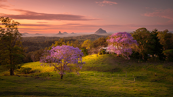 Landscape Winner: Darren Wassell, Morning Glory