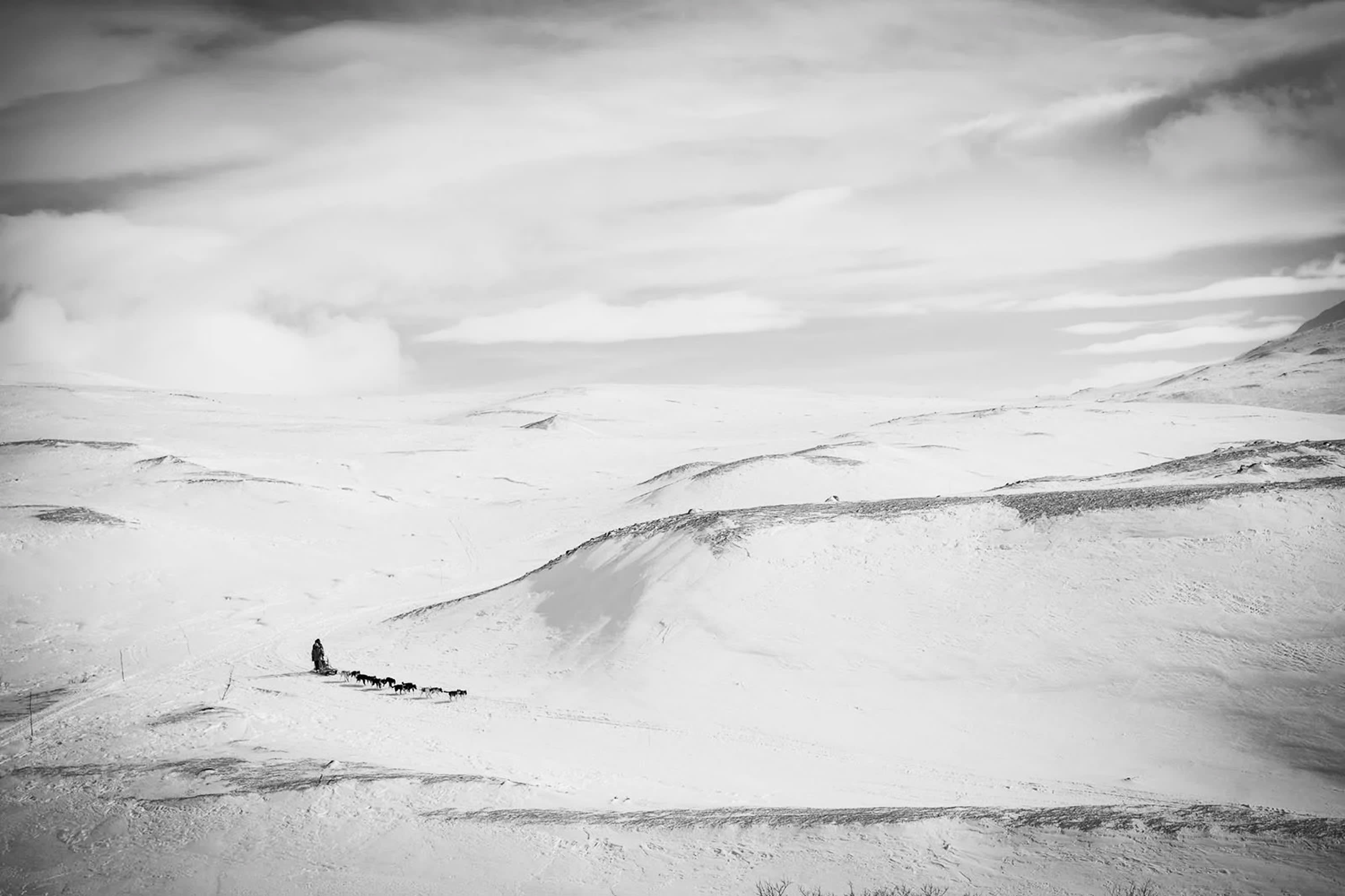 Third place in the Documentary category. ‘Alone together.’ | Photo by Katie Gyltnes / Dog Photographer of the Year
