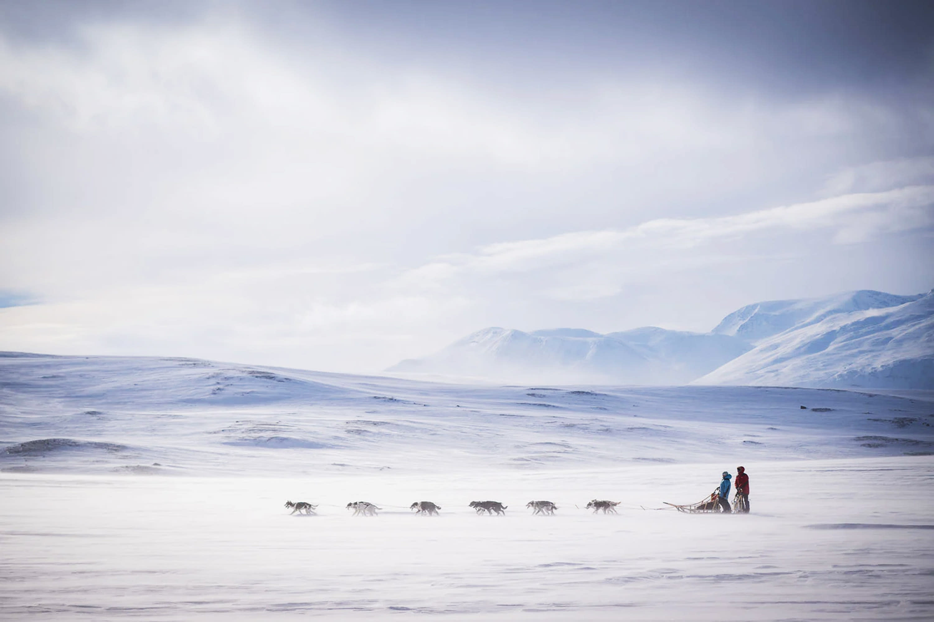Second place in the Documentary category. ‘On top of the World.’ | Photo by Katie Gyltnes / Dog Photographer of the Year