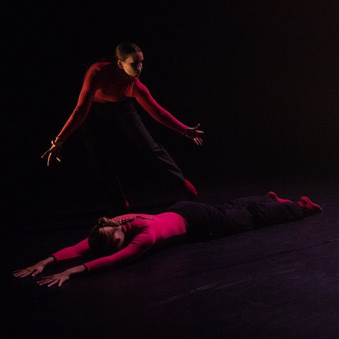 Fiona Larkin (standing) and Bella Lopes de Oliveira in Jessica Hewett's 'How do we know?' Photo by Children of the Revolution.