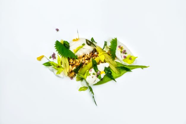 Australian cultured meat start-up Vow's first commercial product, is a cultivated quail meat.
