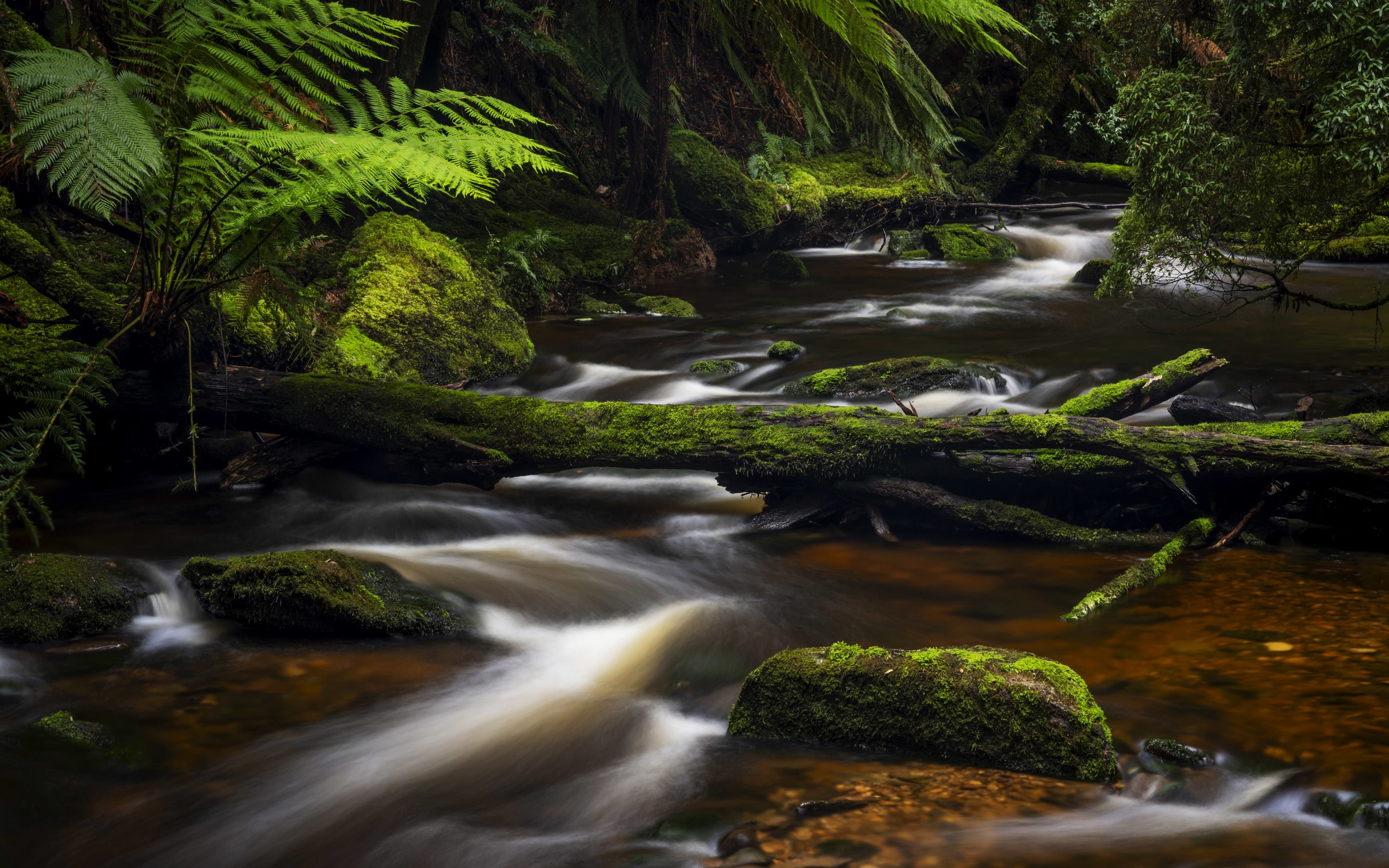Image: Doug Gimesy