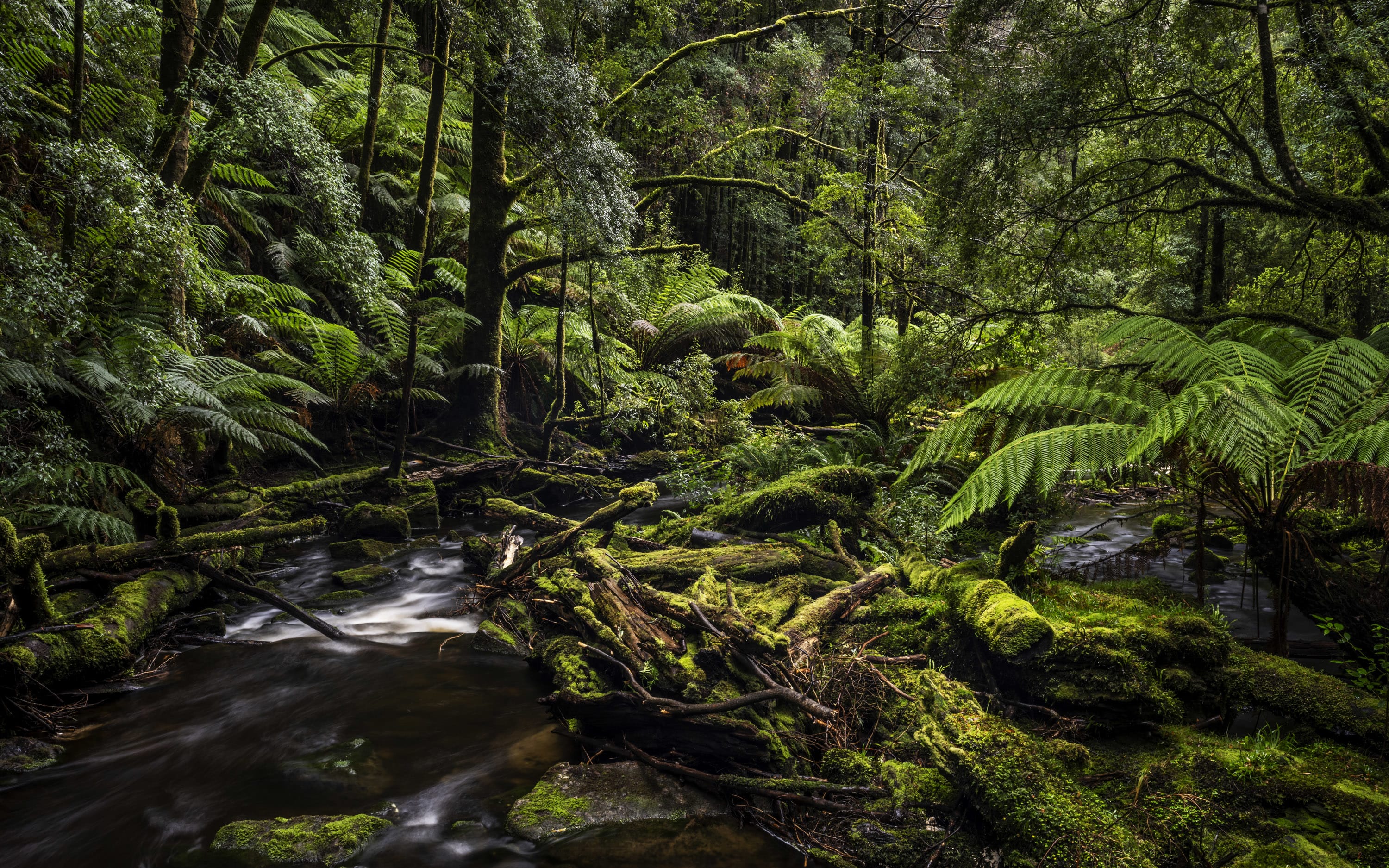 Image: Doug Gimesy