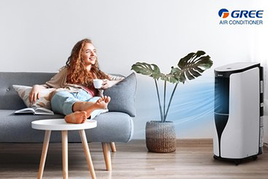 GREE Electric Appliances did the recall.
