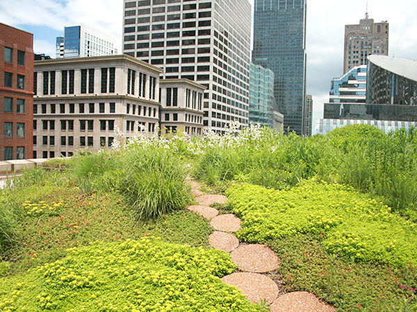 Cities around the world use cool roofs