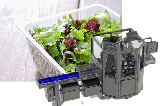 Packing salads into trays can be a challenge, Ishida&rsquo;s Rotary Salad Filler provides a solution.
Salad pic: iStock-460589923
Ishida Rotary Salad Filler: Heat & Control