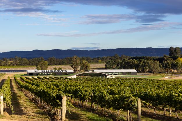 Treasury Wine Estates CEO Tim Ford said greater demand for cool climate wines in TWE&rsquo;s portfolio, including St Hubert&rsquo;s (above) made Beenak an attractive purchase. (Image supplied: Treasury Wines)