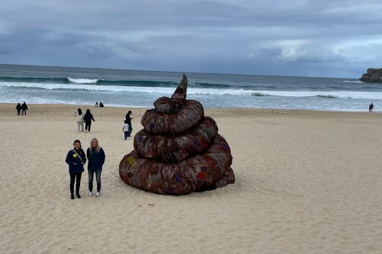 'A Pile of Plastic Sh!t' is the name of the sculpture commissioned by Better Packaging Co. and parked on Bondi Beach for World Environment Day.