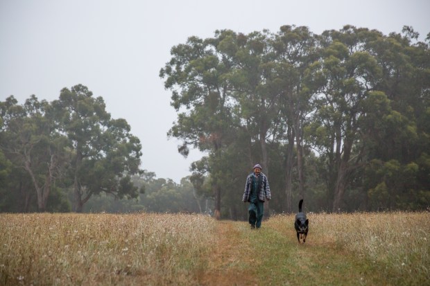 &copy; Jane Cowan. Featured portfolio, "Propagating a dream" &ndash; Australasia&rsquo;s Top Emerging Photographers 2019.