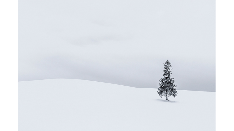 Anthony Lawrence, 'Landscapes of Biei, Japan'. Overall Winner, 2019 Photographer of the Year. Winner, 2019 Landscape Photographer of the Year.