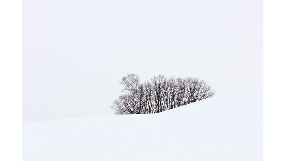 Anthony Lawrence, 'Landscapes of Biei, Japan'. Overall Winner, 2019 Photographer of the Year. Winner, 2019 Landscape Photographer of the Year.