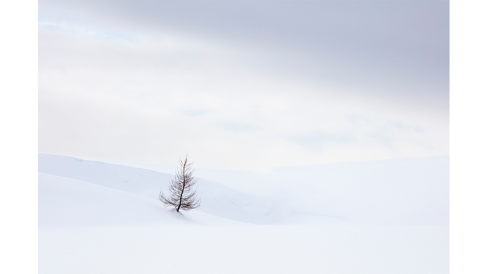 Anthony Lawrence, 'Landscapes of Biei, Japan'. Overall Winner, 2019 Photographer of the Year. Winner, 2019 Landscape Photographer of the Year.