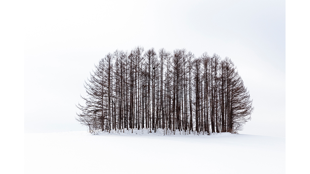 Anthony Lawrence, 'Landscapes of Biei, Japan'. Overall Winner, 2019 Photographer of the Year. Winner, 2019 Landscape Photographer of the Year.