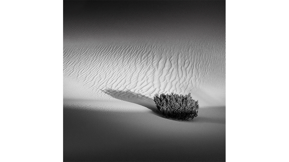 Nicole Andrews, Dunes, Winner: Landscape.
