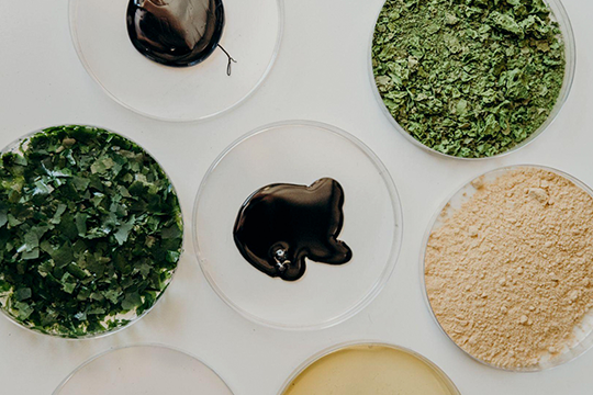 Renewable, algae-based pigment technology: Jet Technologies has formed a strategic distribution partnership with Living Ink Technologies, the global innovator behind Algae Ink
