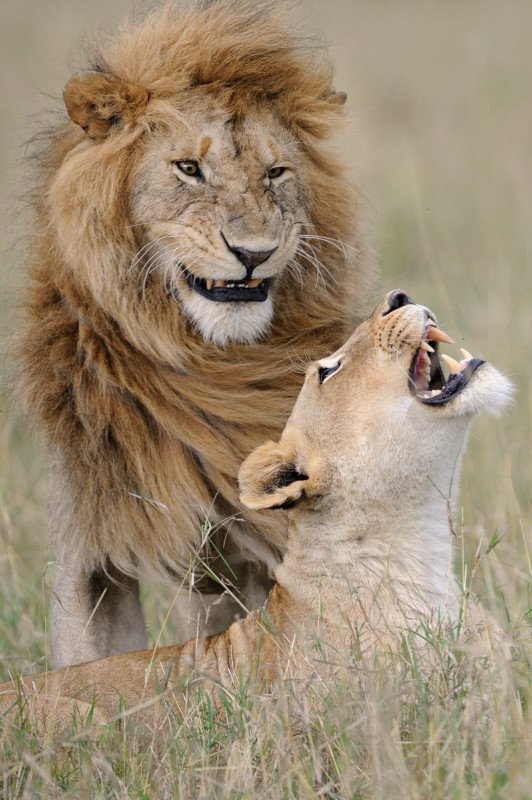 Happy? &copy; Muriel Vekeman.