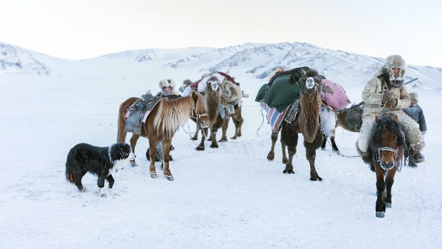 &copy; Kristyn Taylor. Featured portfolio, Winter migration with the Kazakh nomads &ndash; Australasia&rsquo;s Top Emerging Photographers 2019.