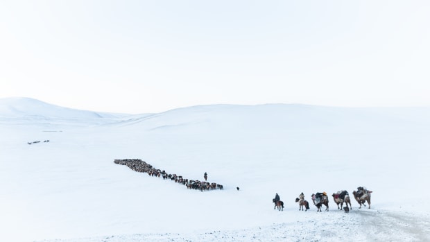 &copy; Kristyn Taylor. Featured portfolio, Winter migration with the Kazakh nomads &ndash; Australasia&rsquo;s Top Emerging Photographers 2019.