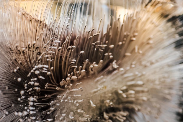 &copy; Abi Hackling. Featured portfolio, "Escape" &ndash; Australasia&rsquo;s Top Emerging Photographers 2019.