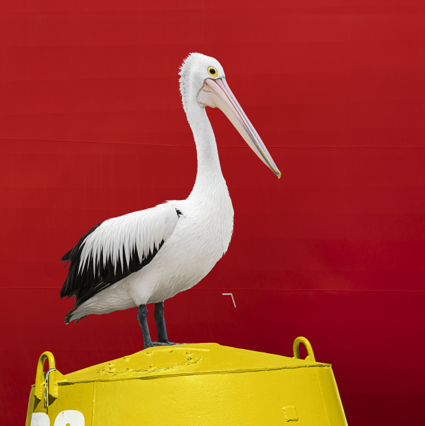 &copy; Jackie Winkelman. Featured portfolio, 'Urban Art Series' &ndash; Australasia&rsquo;s Top Emerging Photographers 2021.