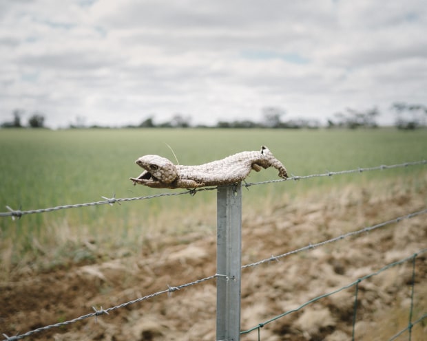 &copy; Claudia Caporn. Featured portfolio, 'Just East of Now' &ndash; Australasia&rsquo;s Top Emerging Photographers 2021.