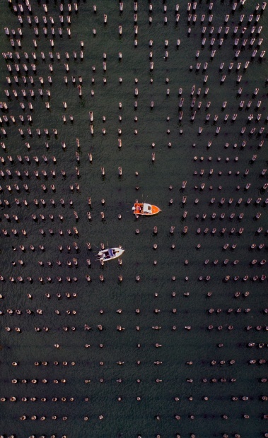 &copy; Peter Virag. Featured portfolio, "Victoria from above" &ndash; Australasia&rsquo;s Top Emerging Photographers 2019.