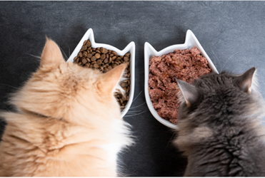 Tiny air leaks in pet food packaging can change the smell and taste of pet food.