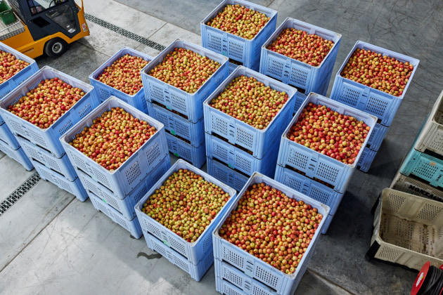 Investing in the site has increased Montague&rsquo;s apple packing capacity by 75 per cent, around 220 million apples a year, and stone fruit packing capacity by 166 per cent &ndash; the equivalent of 58million pieces of fruit each season.