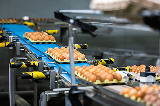 Result Group is expanding the marking options for egg producers by introducing Leibinger CIJ printers that are directly integrated with egg graders.