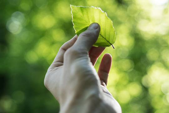 Pic credit: Tobias Weinhold &ndash; Unsplash