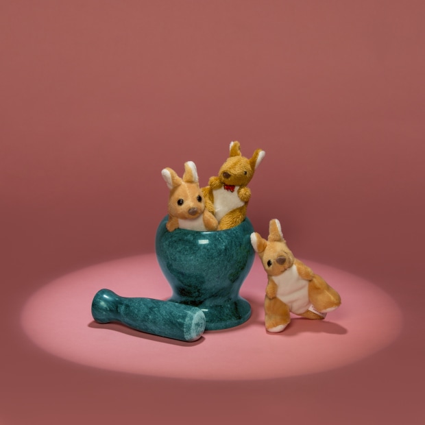 &copy; Shuran Wang. Featured portfolio, "Culture Comparison" &ndash; Australasia&rsquo;s Top Emerging Photographers 2019.