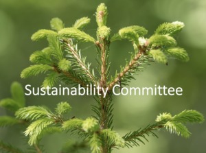 Sustainable business champions 