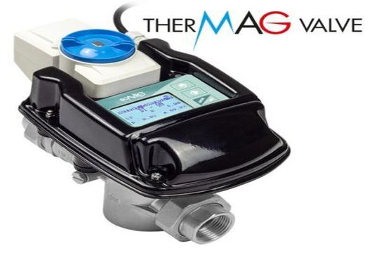 THERMAG VALVE &ndash; CS611