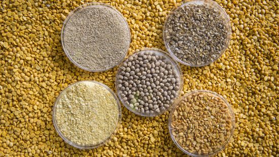 Victoria&rsquo;s pulse production is getting a boost, with over $13 million invested into new plant protein research from the Victorian government and Grains Research and Development Corporation.
Source: AgVic