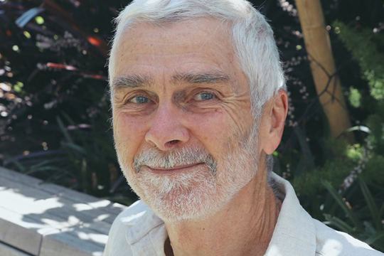 Report author Professor Tony Dalton.