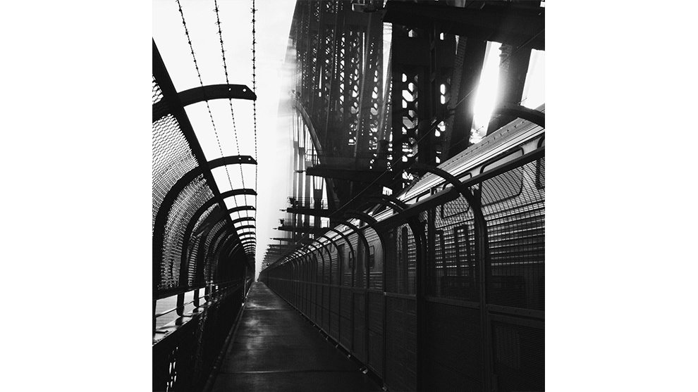 &copy; Dominique Pierre-Nina