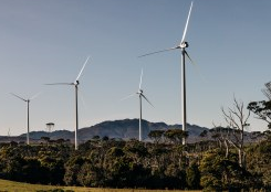 PRIMA PMI GOES 100% CARBON NEUTRAL WITH SOLAR, WIND AND HYDRO