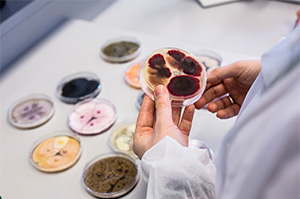 Novozymes calls for myco-protein partners