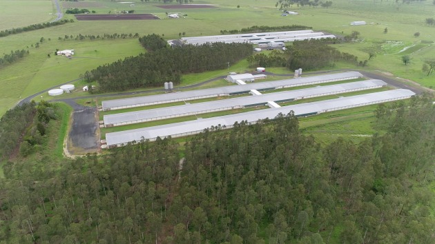 Aerial shot of Bartter Enterprises. 
Image source: Farm Transparency Project.