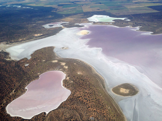 Pastel pond en route to Ceduna, SA. (Shelley Ross)