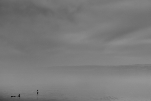 &copy; Eric Ronald